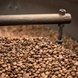 arabica coffee beans