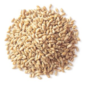 Organic Soft White Wheat Berries