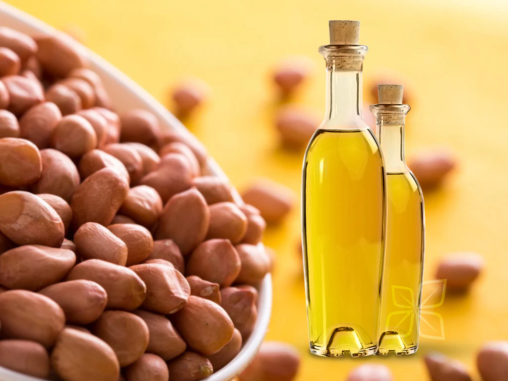 Peanuts Oil - Image 2