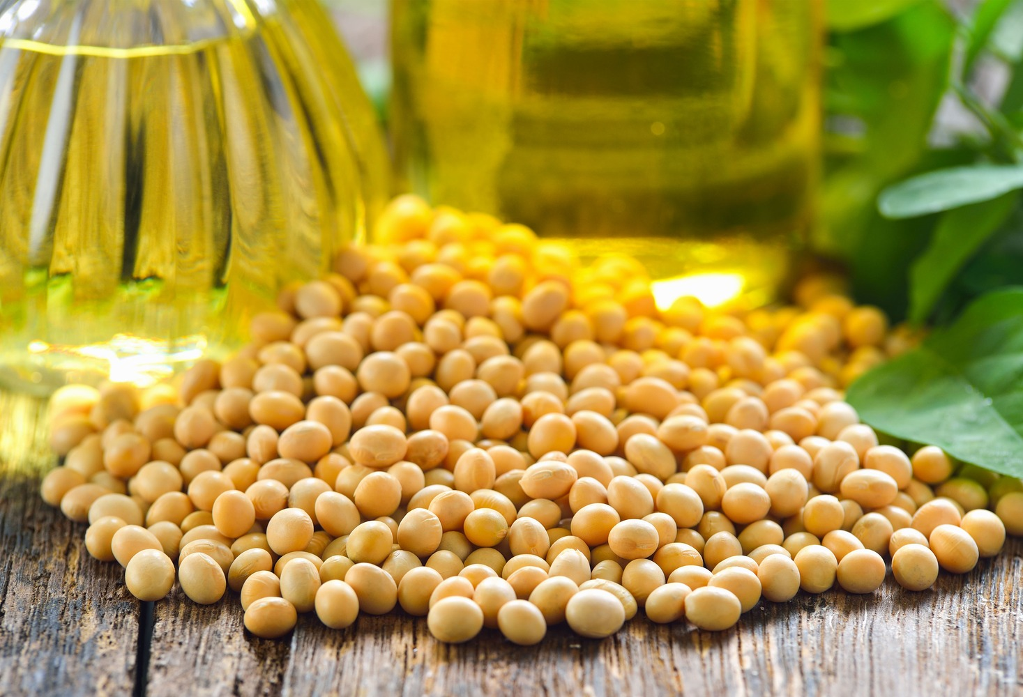 Refined Soybean Oil - Image 2