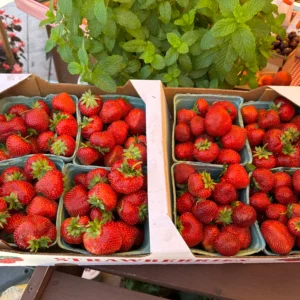 Strawberries